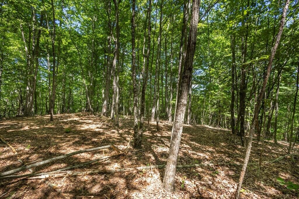 20 Pack Mountain Road Murphy, NC 28906 - Photo 14 of 20 Gallery Image 14
