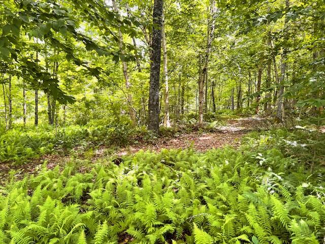 543 Knowlton Corner Road Farmington, ME 04938 - Photo 21 of 21 IMG_0938