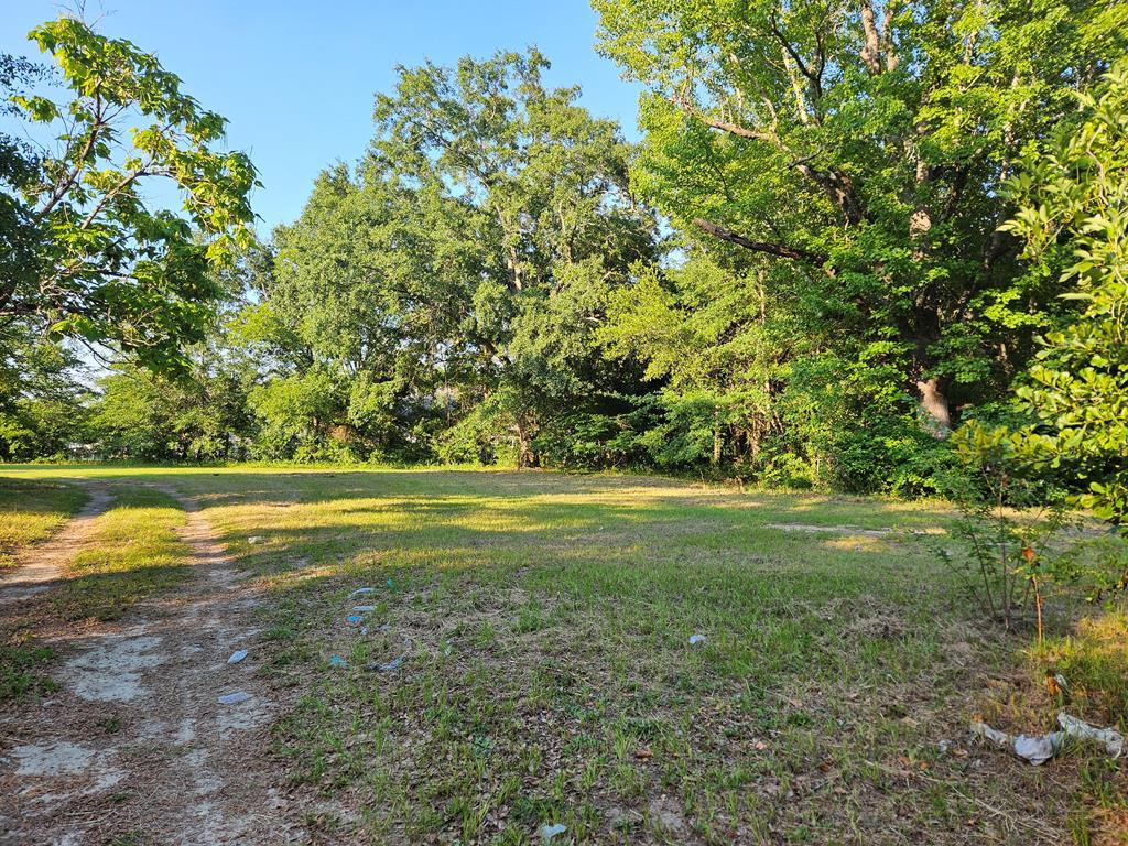23 White Street Sumter, SC 29150 - Photo 2 of 5 Photo 2