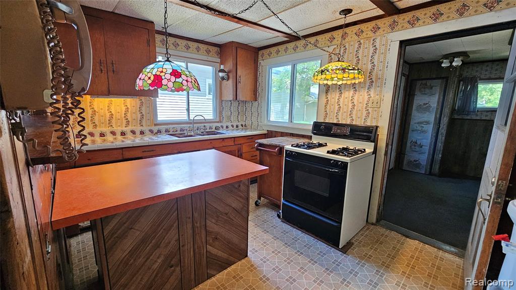 10250 Buhl Road Pinckney, MI 48169 - Photo 9 of 21