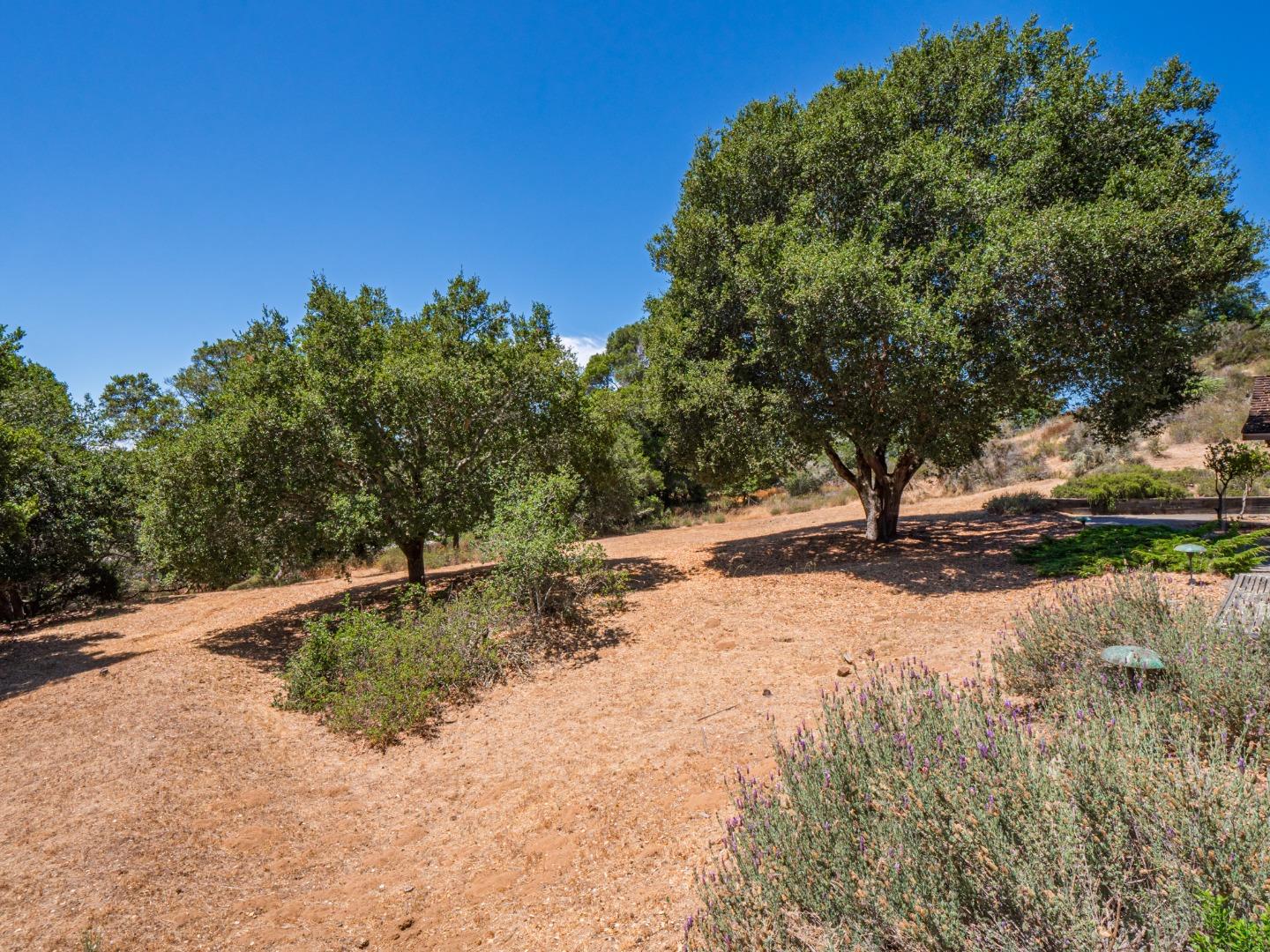 415 Brooktree Ranch Road Aptos, CA 95003 - Photo 94 of 100 Gallery Image 94