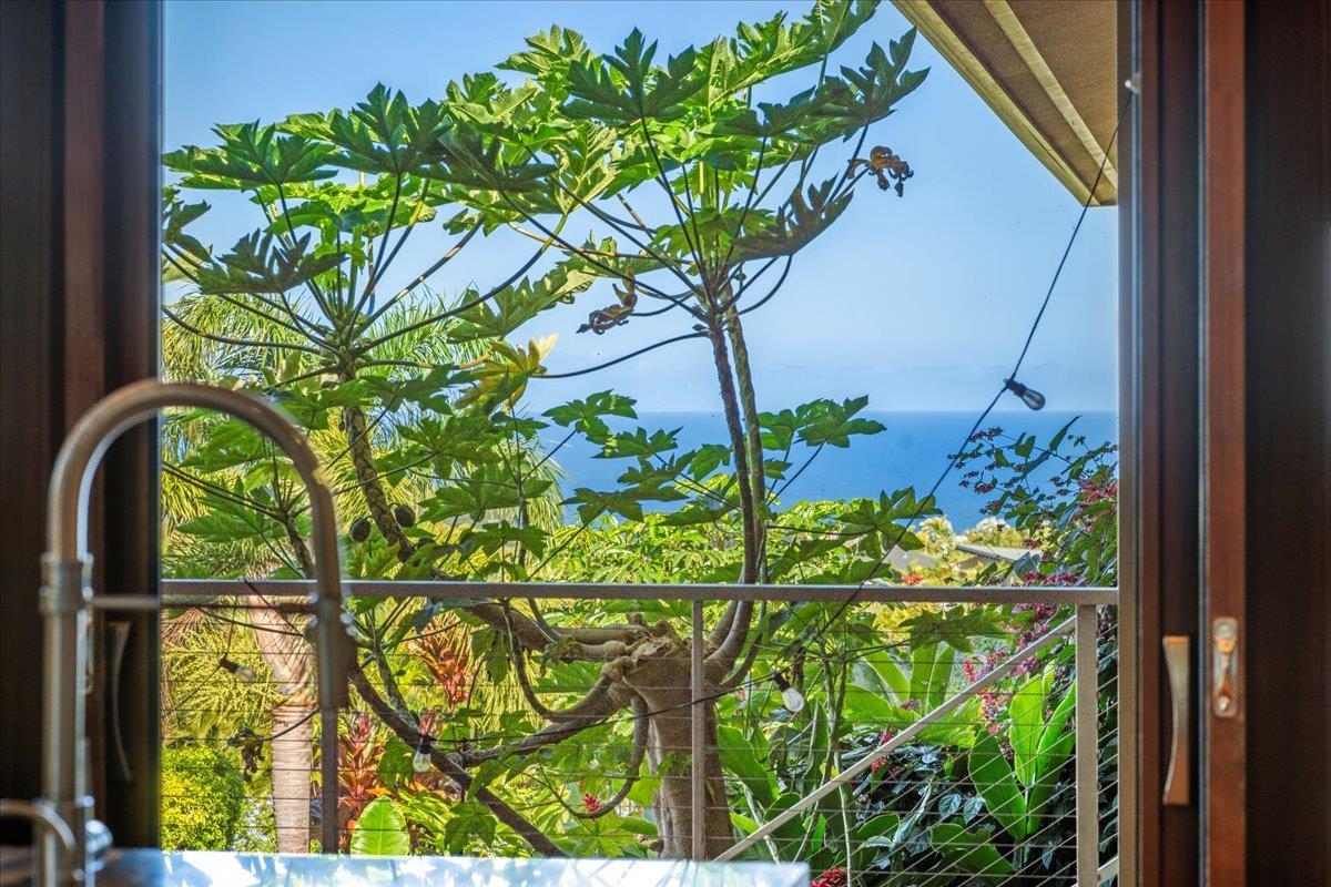 10 Leleaka Place Haiku, HI 96708 - Photo 35 of 49 a close up of a plant