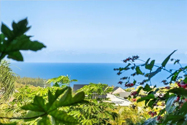 a view of a field with an ocean