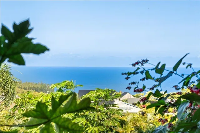 a view of a field with an ocean