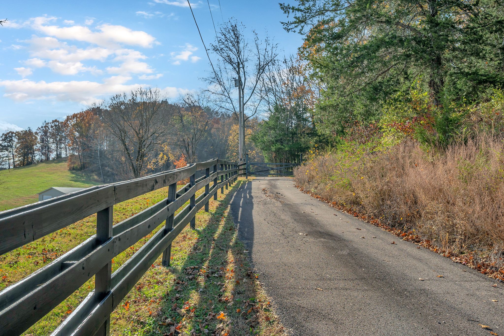 8242 River Rd Pike Nashville, TN 37209 - Photo 1 of 35 a view of a park with large trees