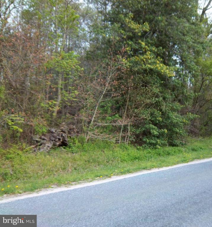 Lot 2 Porter Mill Road Hebron, MD 21830 - Photo 1 of 2 Gallery Image 1