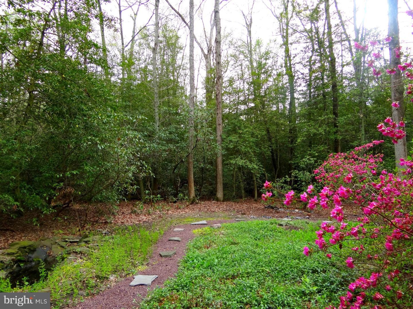 143 Ridge Road Vincentown, NJ 08088 - Photo 16 of 16 Exterior Back