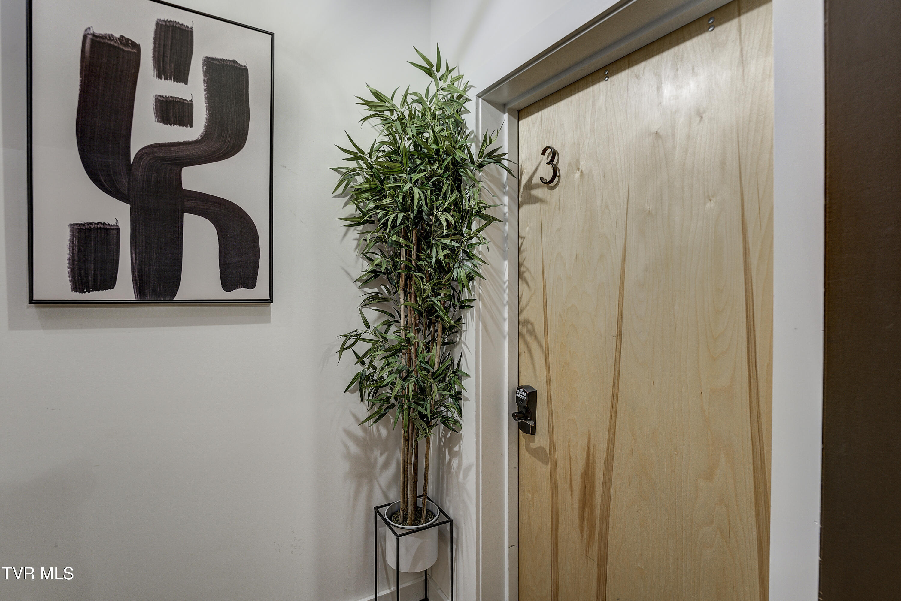 201 8th Street, Unit 103 Bristol, TN 37620 - Photo 3 of 35 Remington2-35