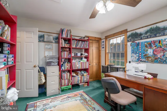 a view of a house with a yard and large tree