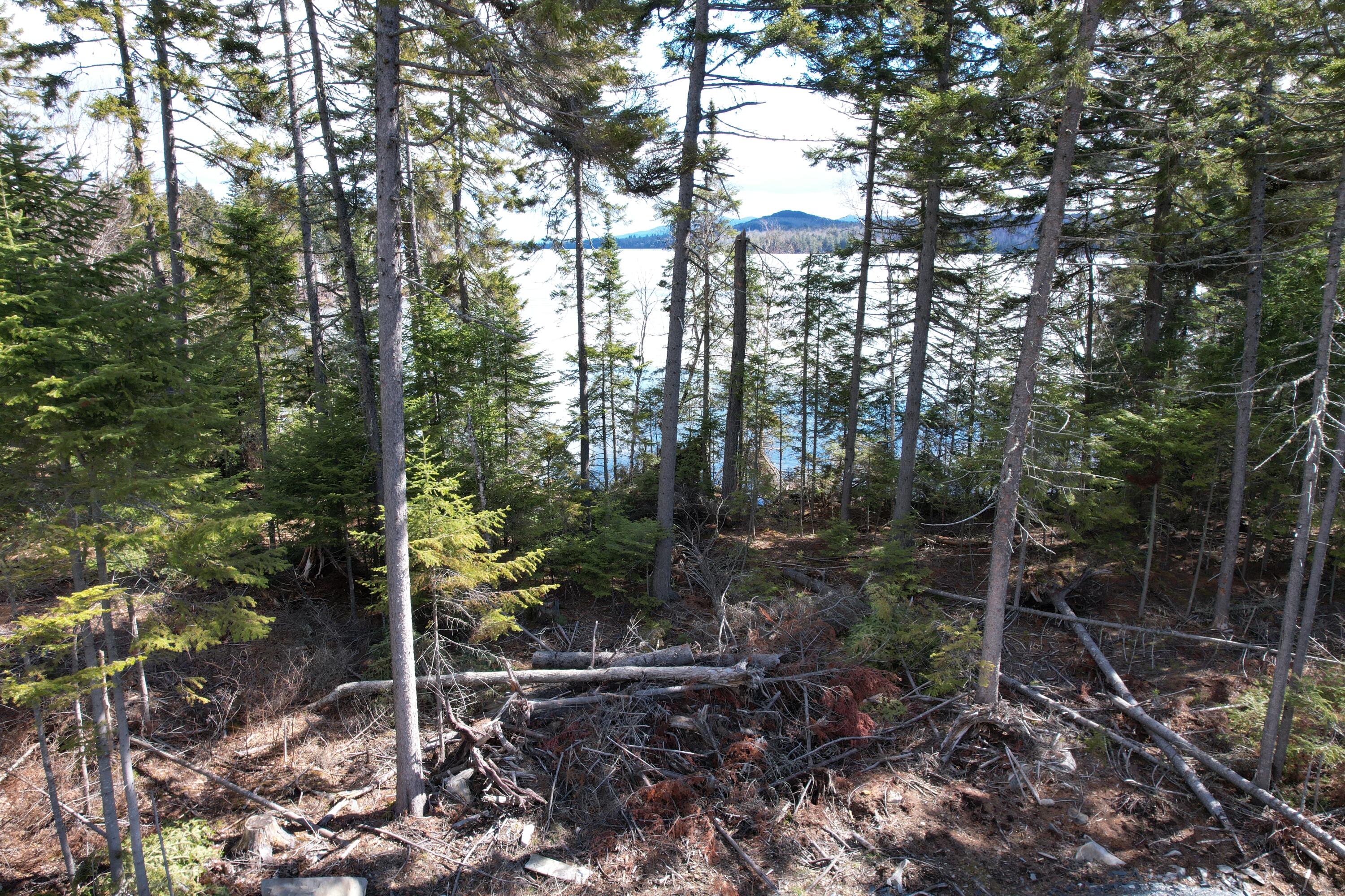 Lot 7 Mountain View Road Greenville Junction, ME 04442 - Photo 21 of 21 5A5B832A-F6A5-4CF7-9ADA-411E4BC336C7