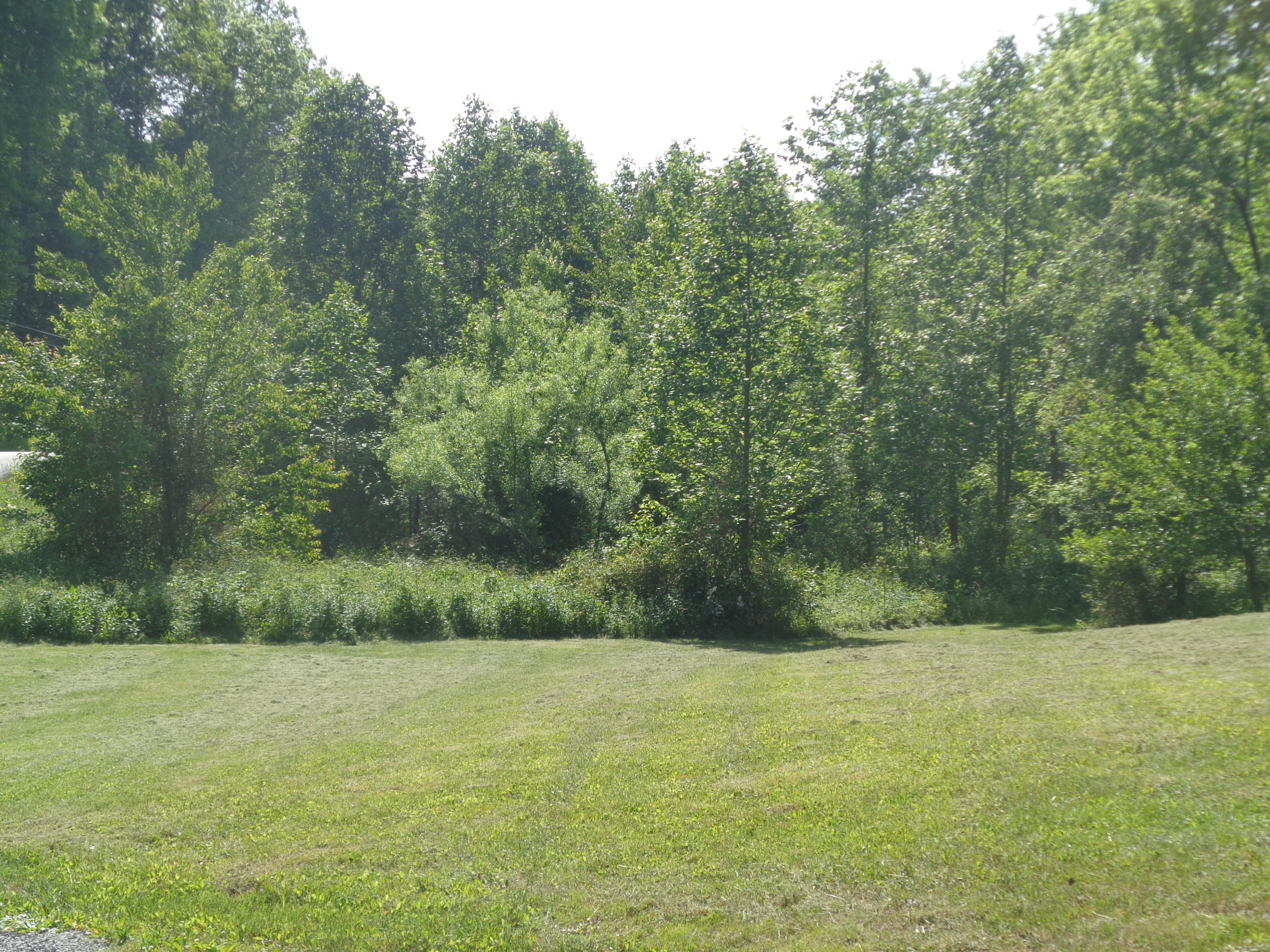 710 Cross Country Road London, KY 40741 - Photo 4 of 31 DSC04405