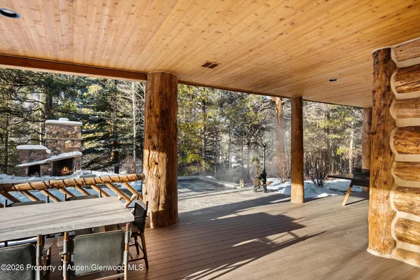 a view of a park with large trees