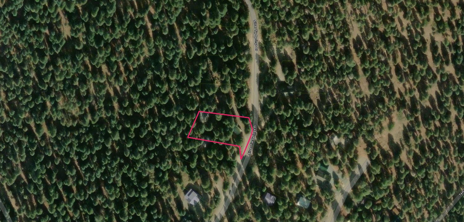 351 Silver Tip Springs Road Strawberry Valley, CA 95981 - Photo 57 of 57