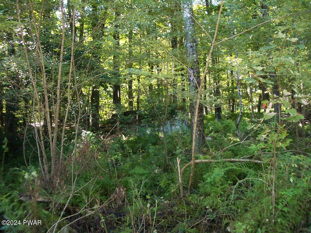 Lot 3 Gilpin Road Newfoundland, PA 18445 - Photo 4 of 5