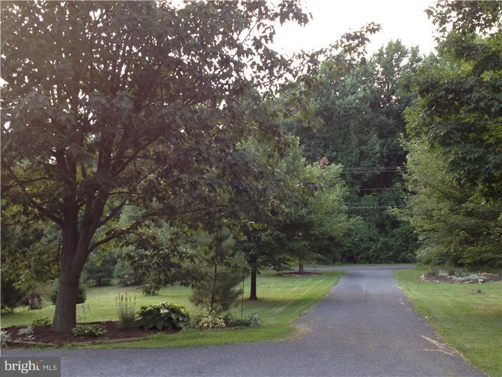 3061 Pricetown Road Temple, PA 19560 - Photo 3 of 25 Driveway