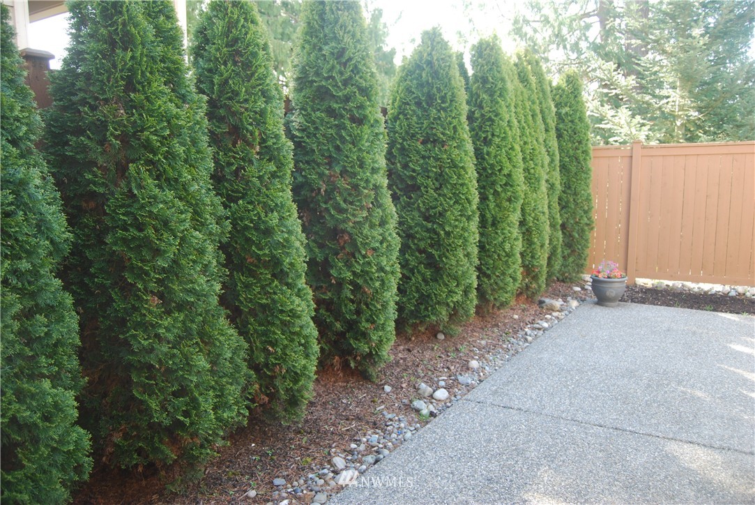 1622 170th Place Southeast Bothell, WA 98012 - Photo 16 of 17 Gallery Image 16