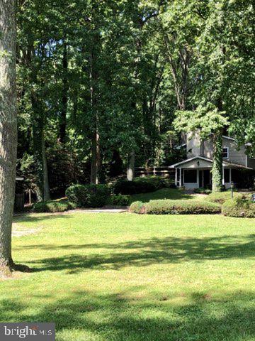 505 Edgewater Road Pasadena, MD 21122 - Photo 47 of 50 Yard