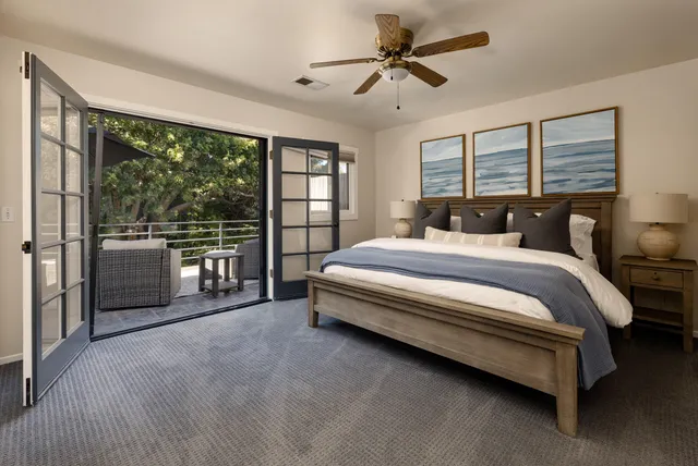a view of a backyard with plants and a large tree