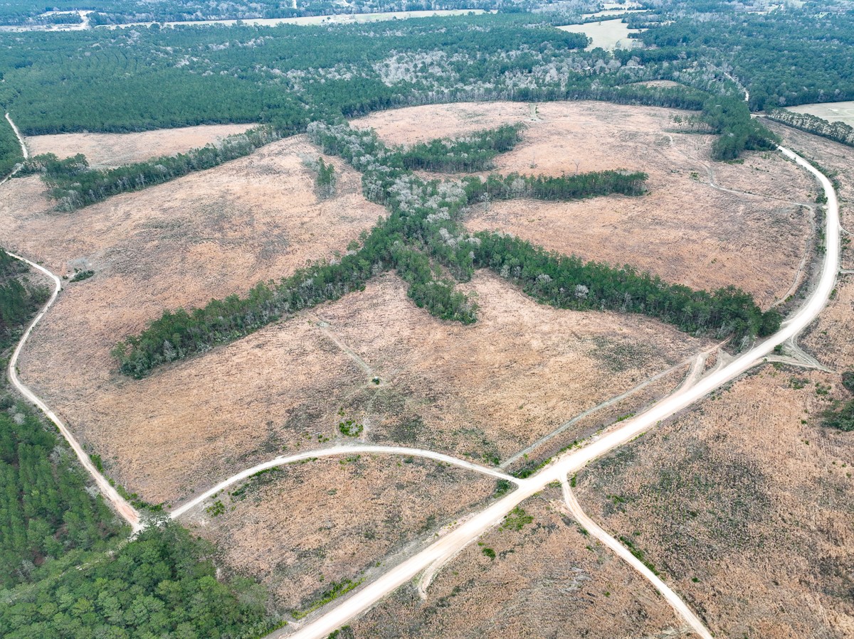 1 B Hardin Hideout Road Moscow, TX 75960 - Photo 14 of 14