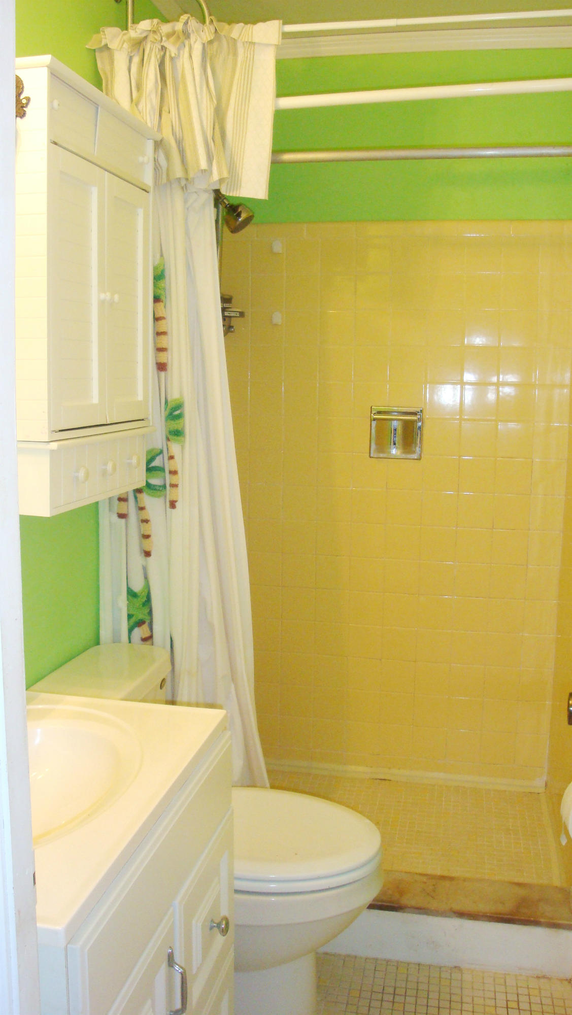 201 Newcastle Street Boca Raton, FL 33487 - Photo 18 of 35 Master Walk-In Shower!