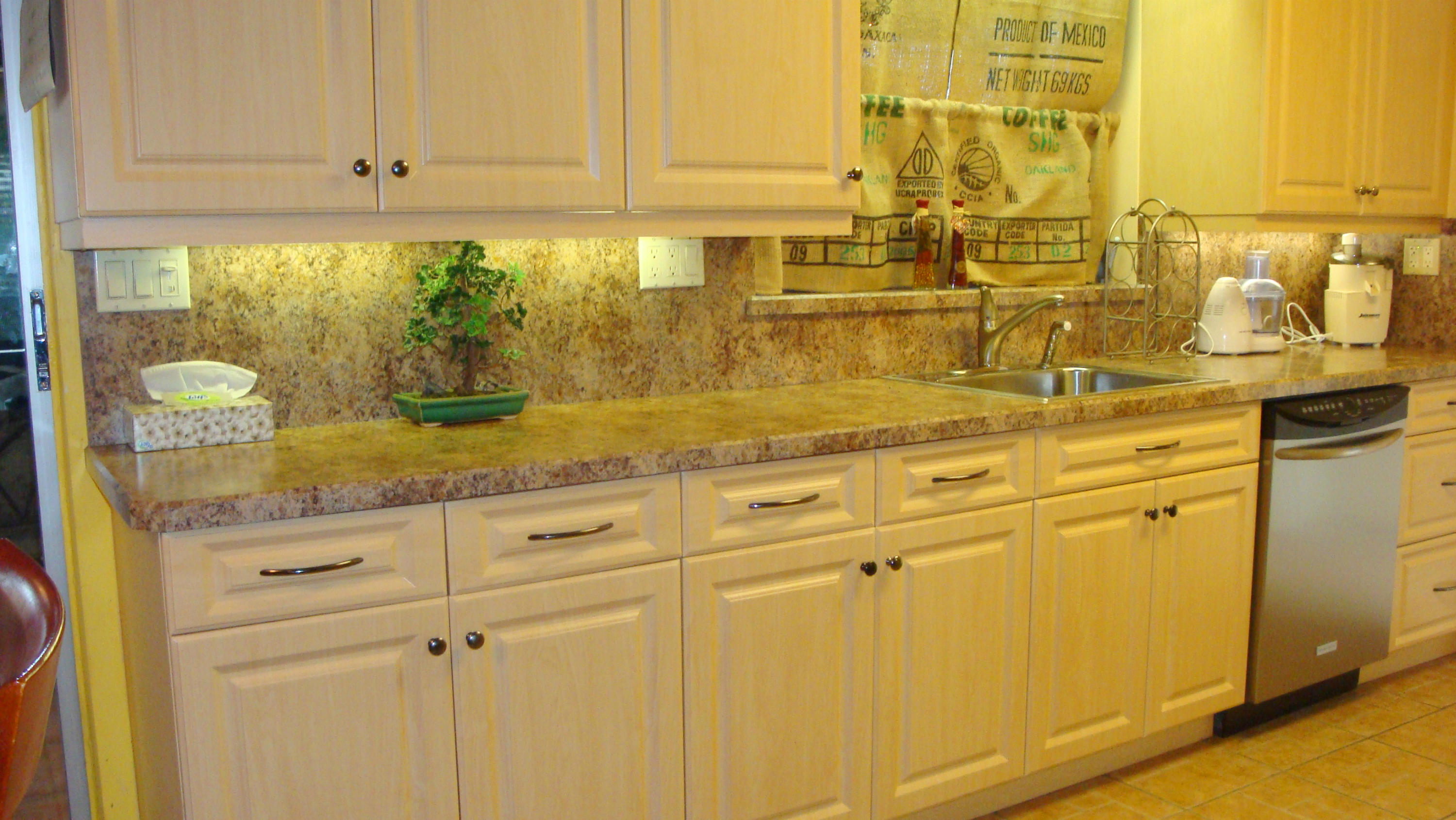 201 Newcastle Street Boca Raton, FL 33487 - Photo 3 of 35 Updated Kitchen!