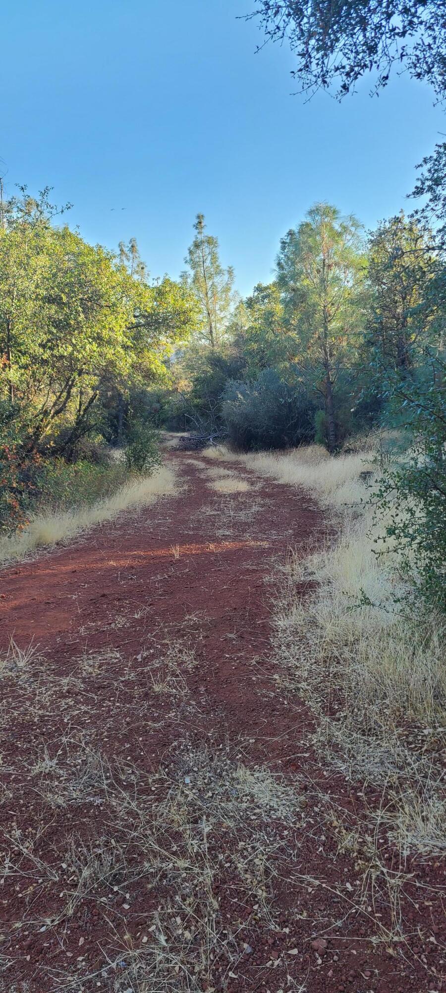 11-440-01 Hazen Road Manton, CA 96059 - Photo 2 of 8 shared road into 2 forty acres lots