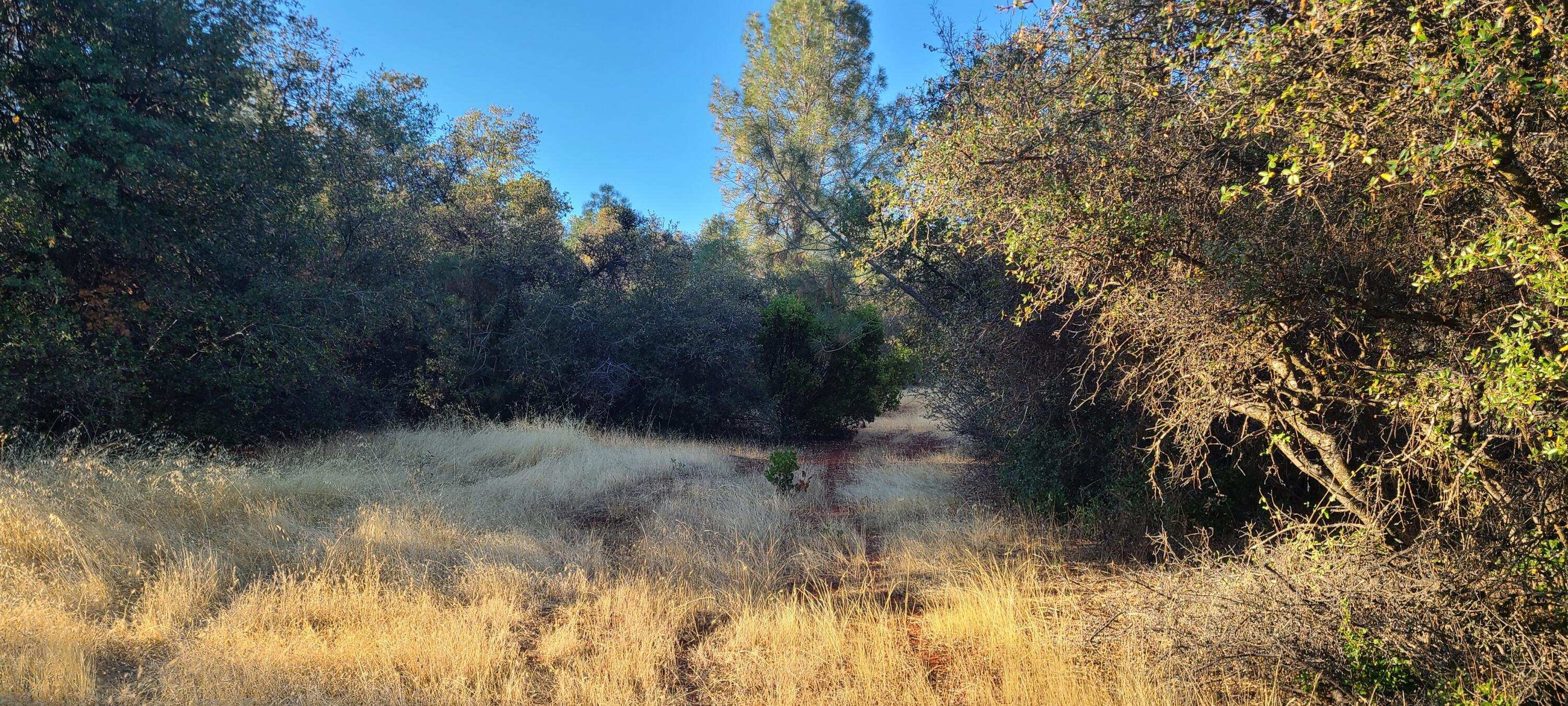 11-440-01 Hazen Road Manton, CA 96059 - Photo 3 of 8 40 acres road in both lots