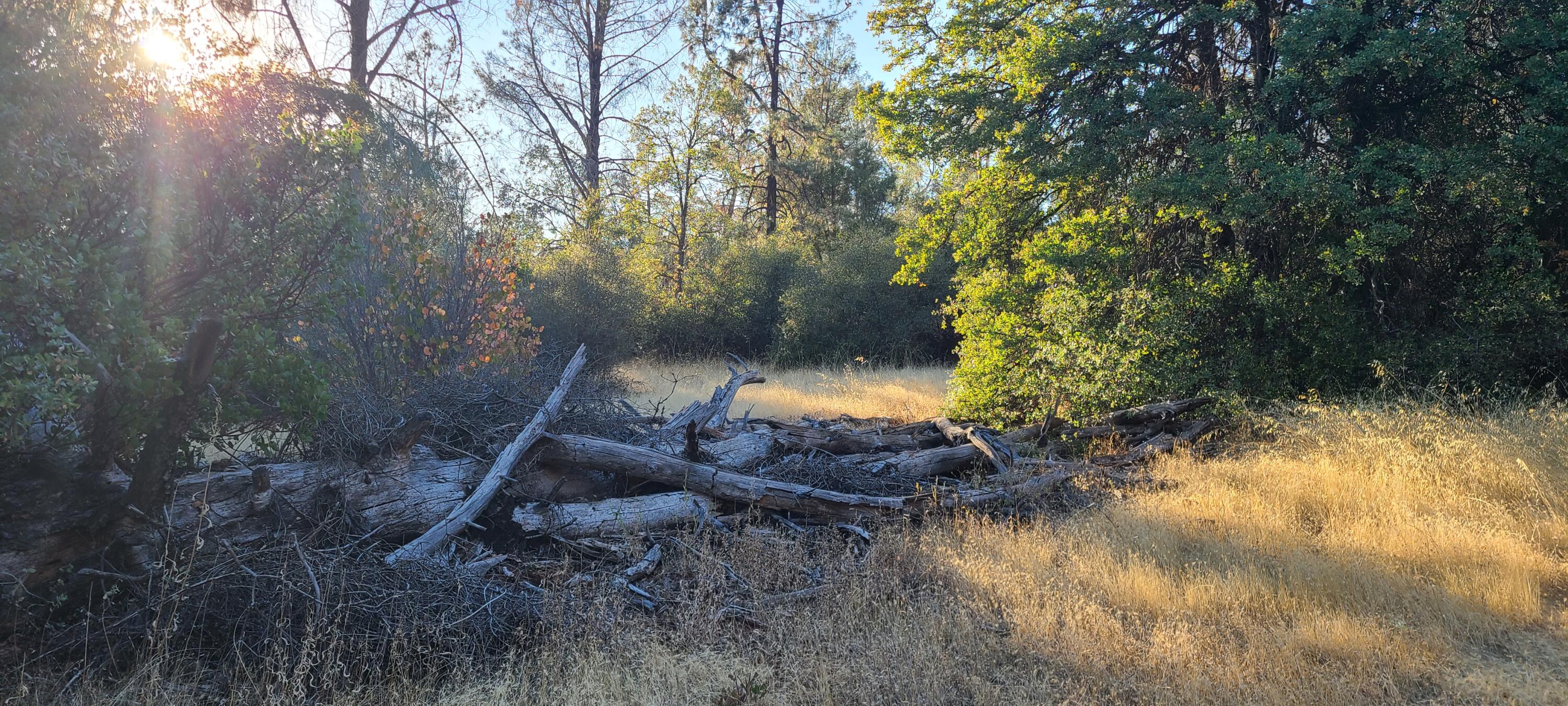 11-440-01 Hazen Road Manton, CA 96059 - Photo 4 of 8 440 Hazen lot