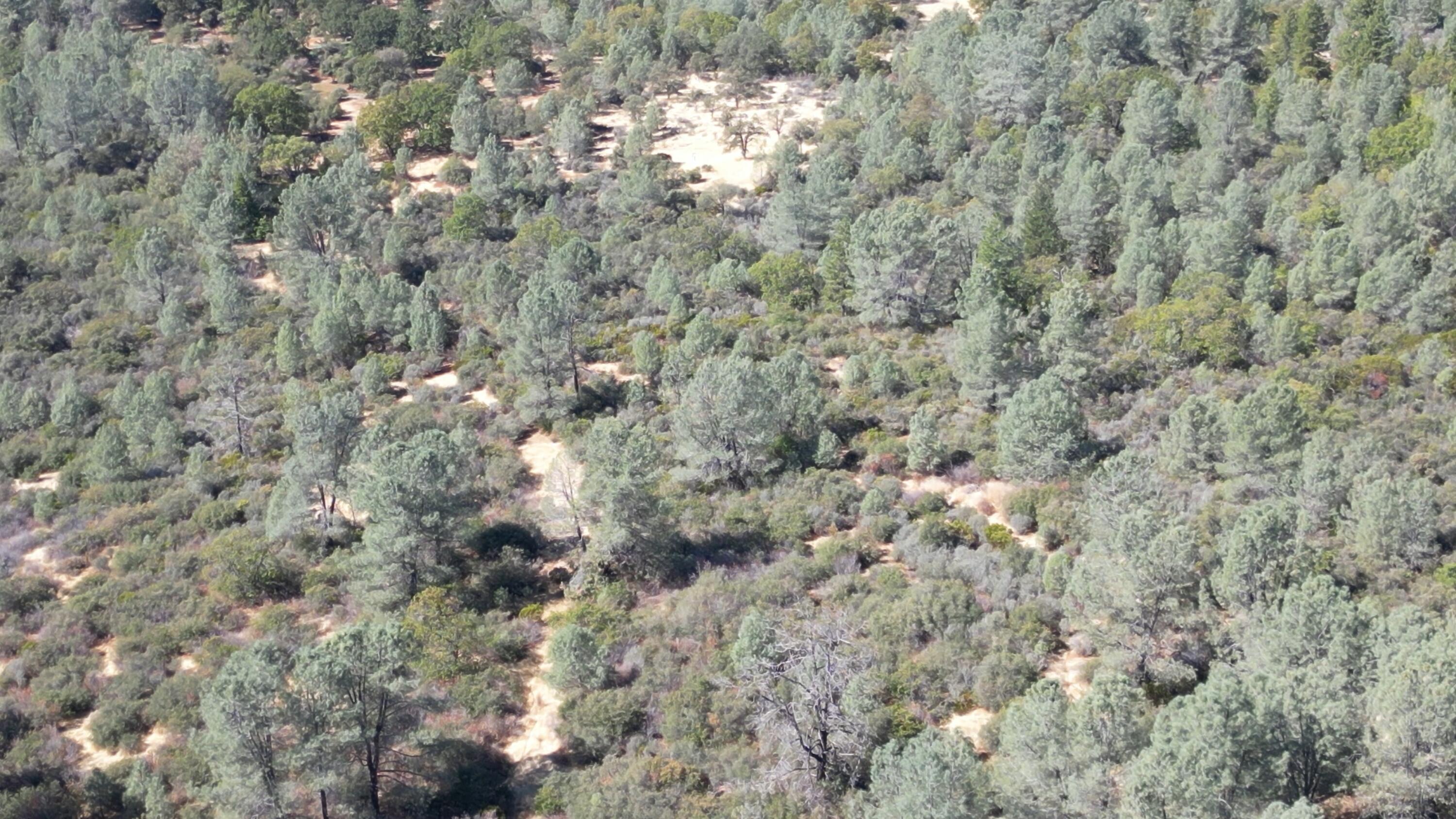 11-440-01 Hazen Road Manton, CA 96059 - Photo 5 of 8 Hazen Road $139k