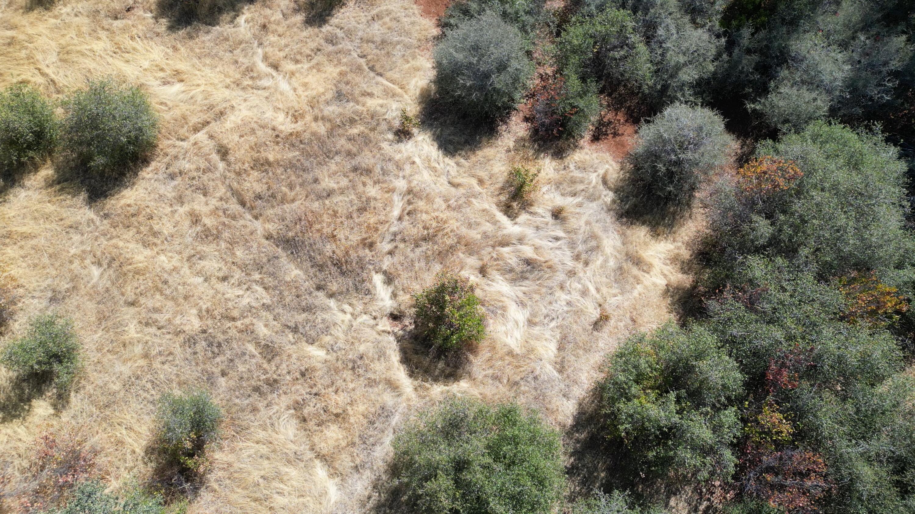 11-440-01 Hazen Road Manton, CA 96059 - Photo 6 of 8 Overhead of buildable area