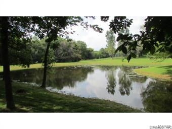 11779 Hickory Flat Road Highland, IL 62249 - Photo 27 of 36