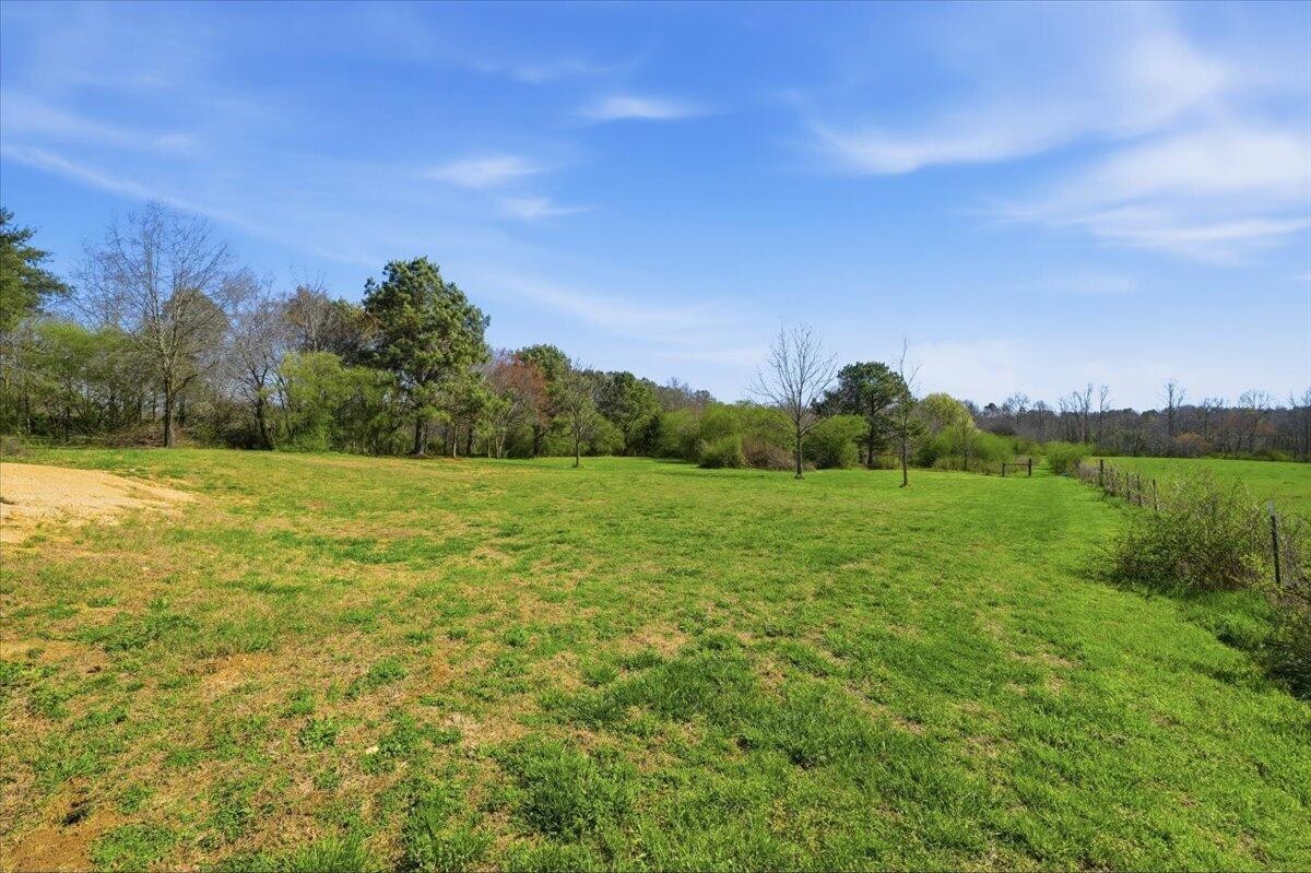 1546 Co Road Pisgah, AL 35765 - Photo 15 of 16