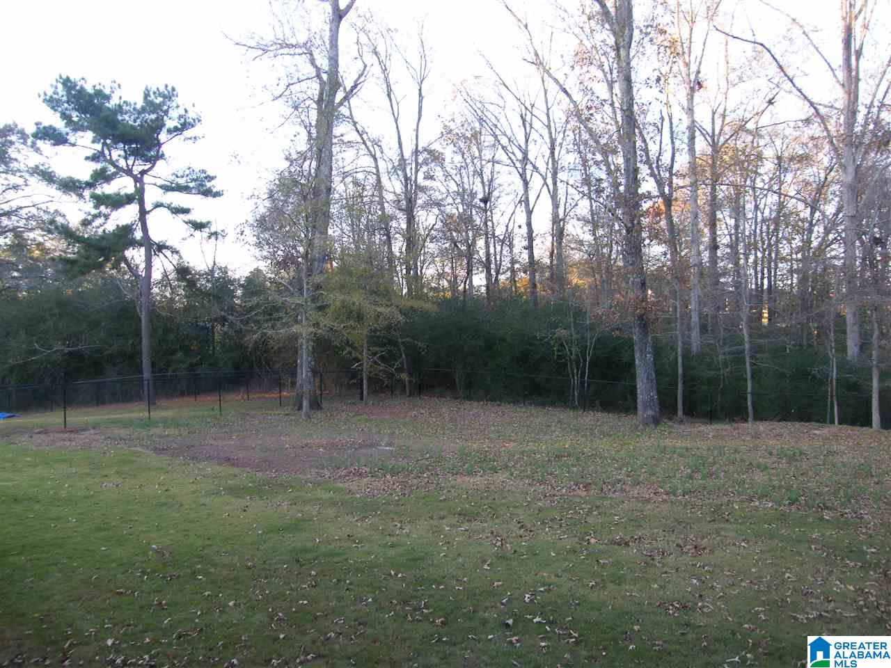 806 Jackson Trace Circle Morris, AL 35116 - Photo 34 of 37