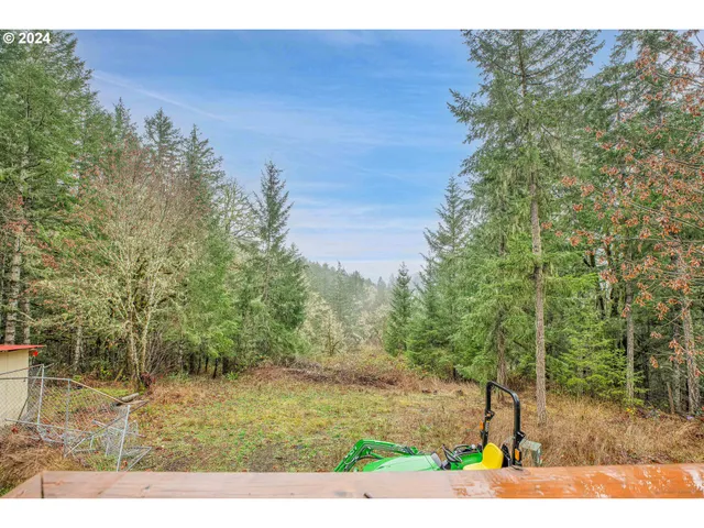 a view of backyard with green space