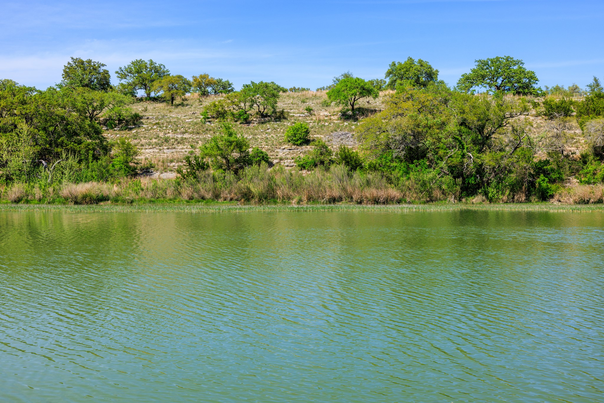 Lot 2 Byrd Ranch Road Johnson City, TX 78636 - Photo 7 of 40 View of water feature