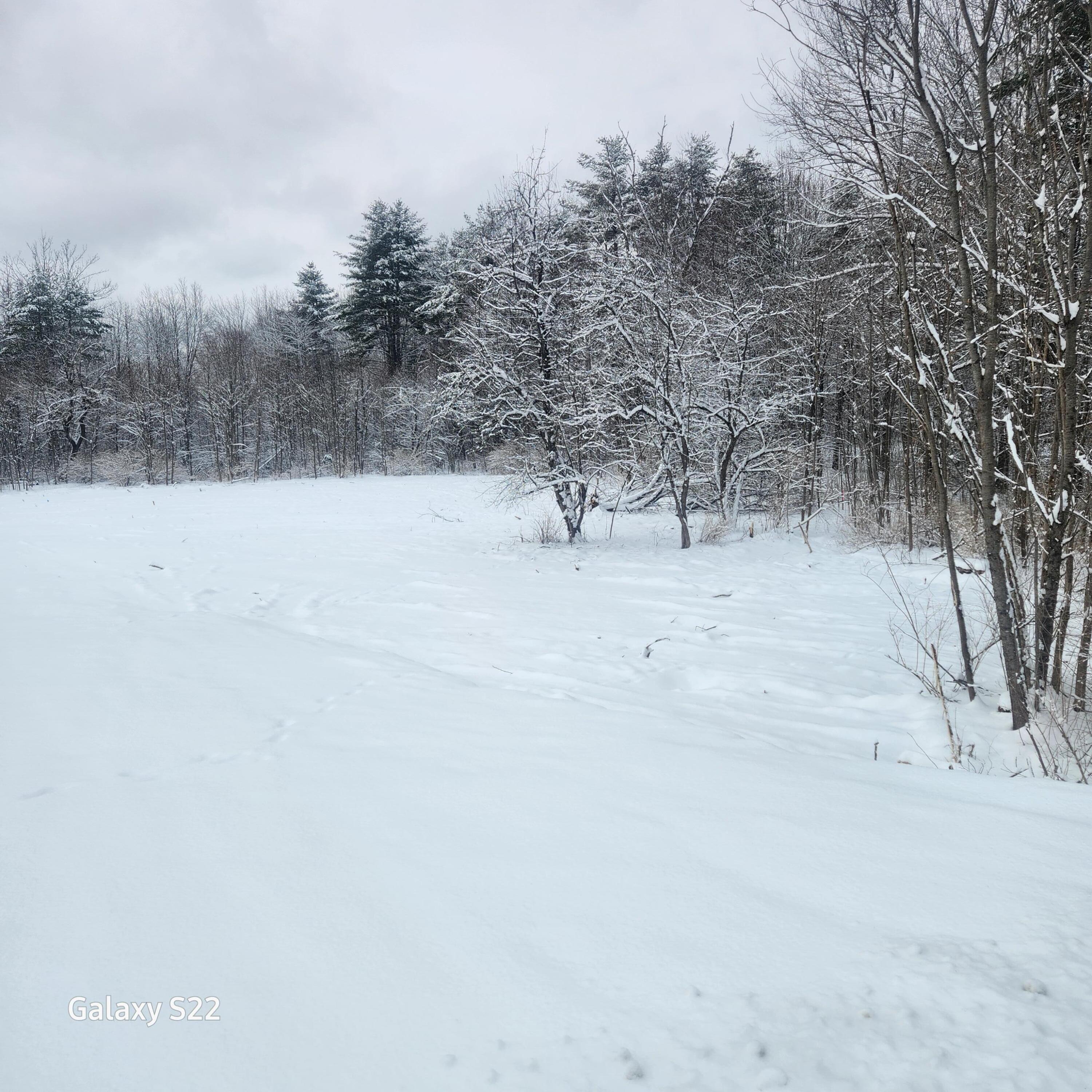 292 Doyle Road Whitefield, ME 04353 - Photo 3 of 6 292 Doyle 1