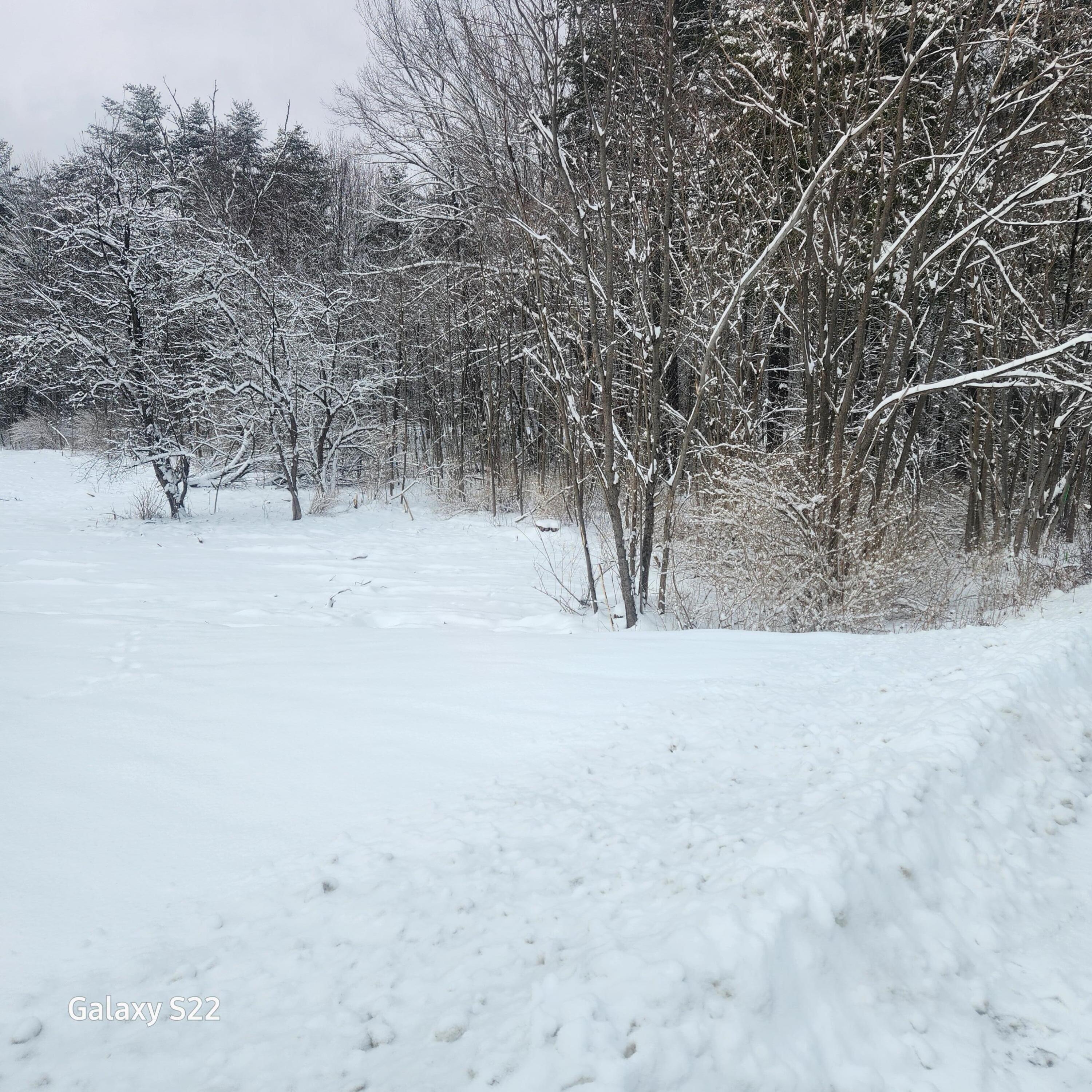 292 Doyle Road Whitefield, ME 04353 - Photo 4 of 6 292 Doyle 3