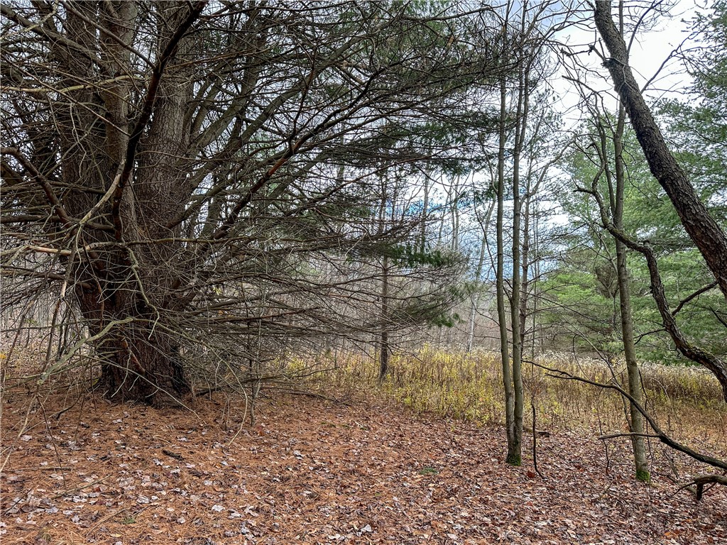 Trapping Brook Road Wellsville, NY 14895 - Photo 15 of 50