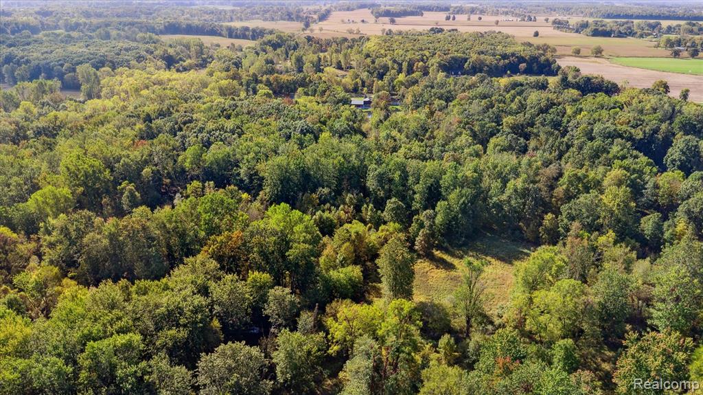 612 West Bath Road Morrice, MI 48857 - Photo 80 of 82 Gallery Image 80