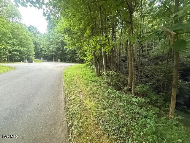 157 Pfeiffer Rdg Road Johnson City, TN 37601 - Photo 9 of 10 _Pic9jpg (1)