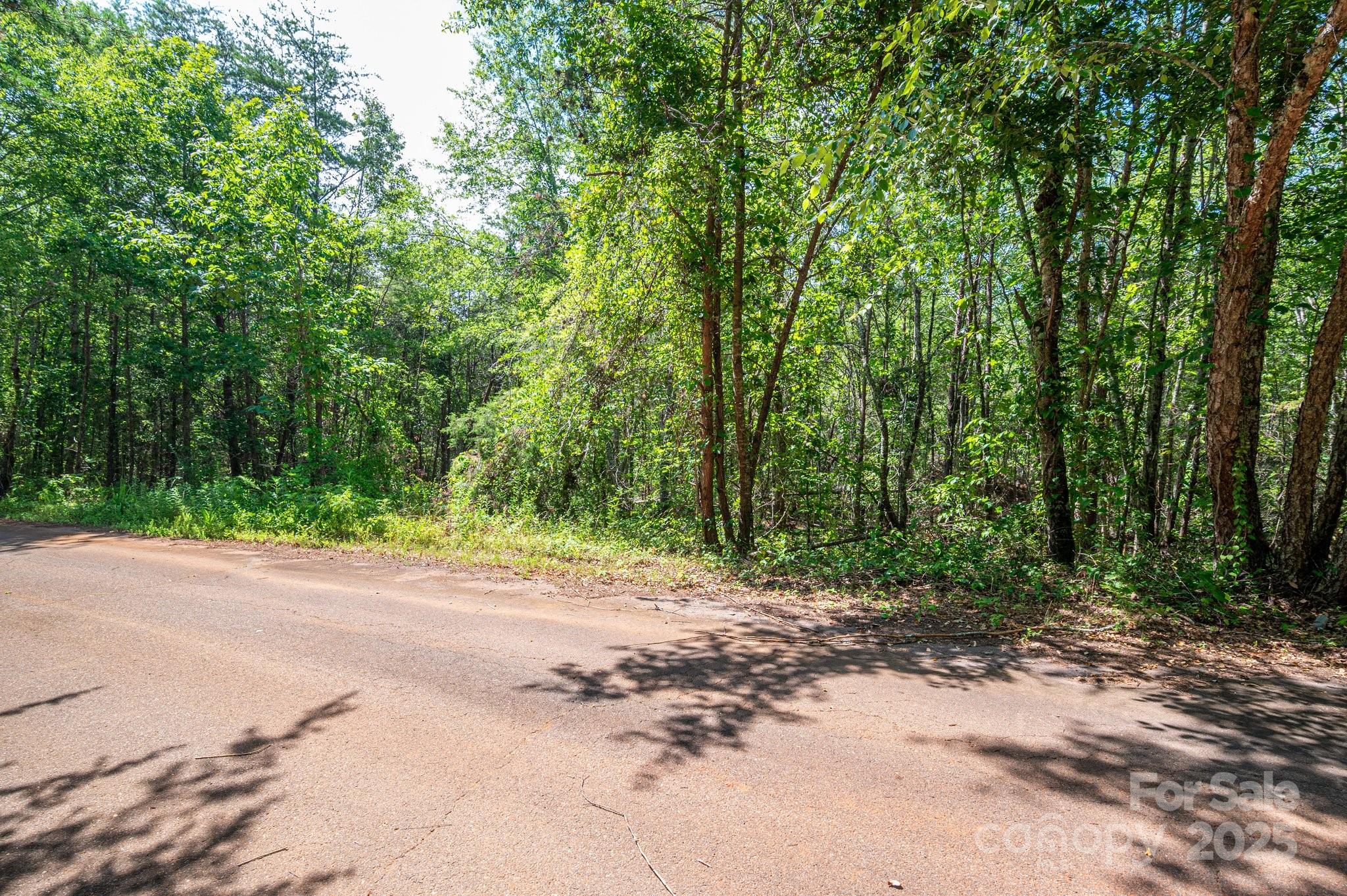 Lot #14 Meadow Crossing Drive Rutherfordton, NC 28139 - Photo 13 of 15 a view of a yard with plants and trees