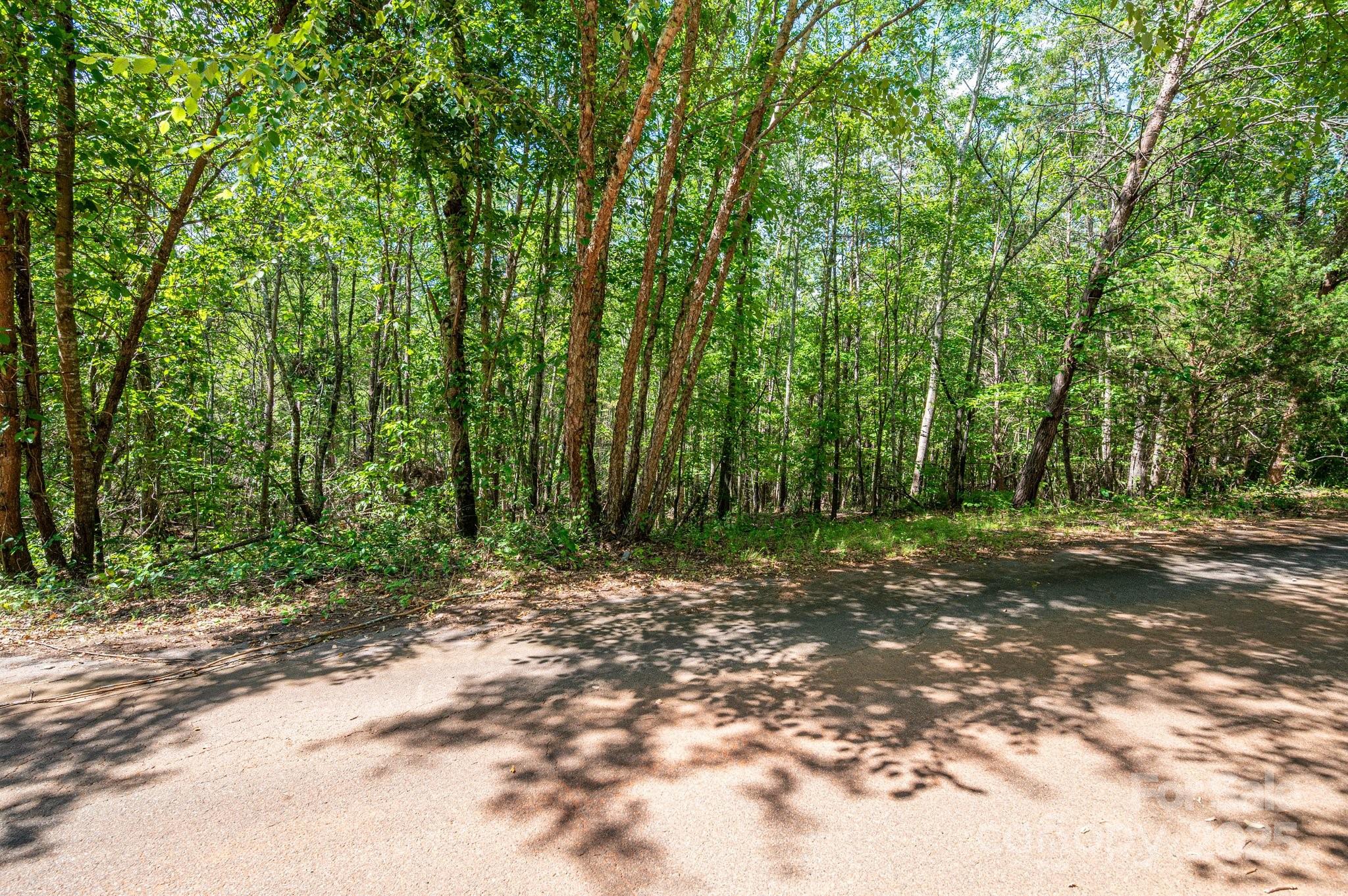 Lot #14 Meadow Crossing Drive Rutherfordton, NC 28139 - Photo 14 of 15 a view of a forest with trees
