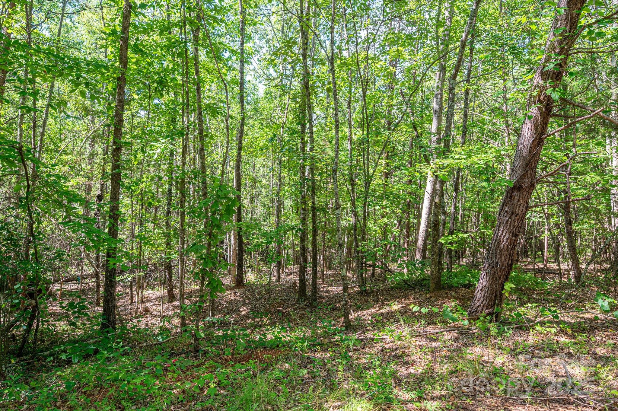 Lot #14 Meadow Crossing Drive Rutherfordton, NC 28139 - Photo 15 of 15 a view of outdoor space and trees