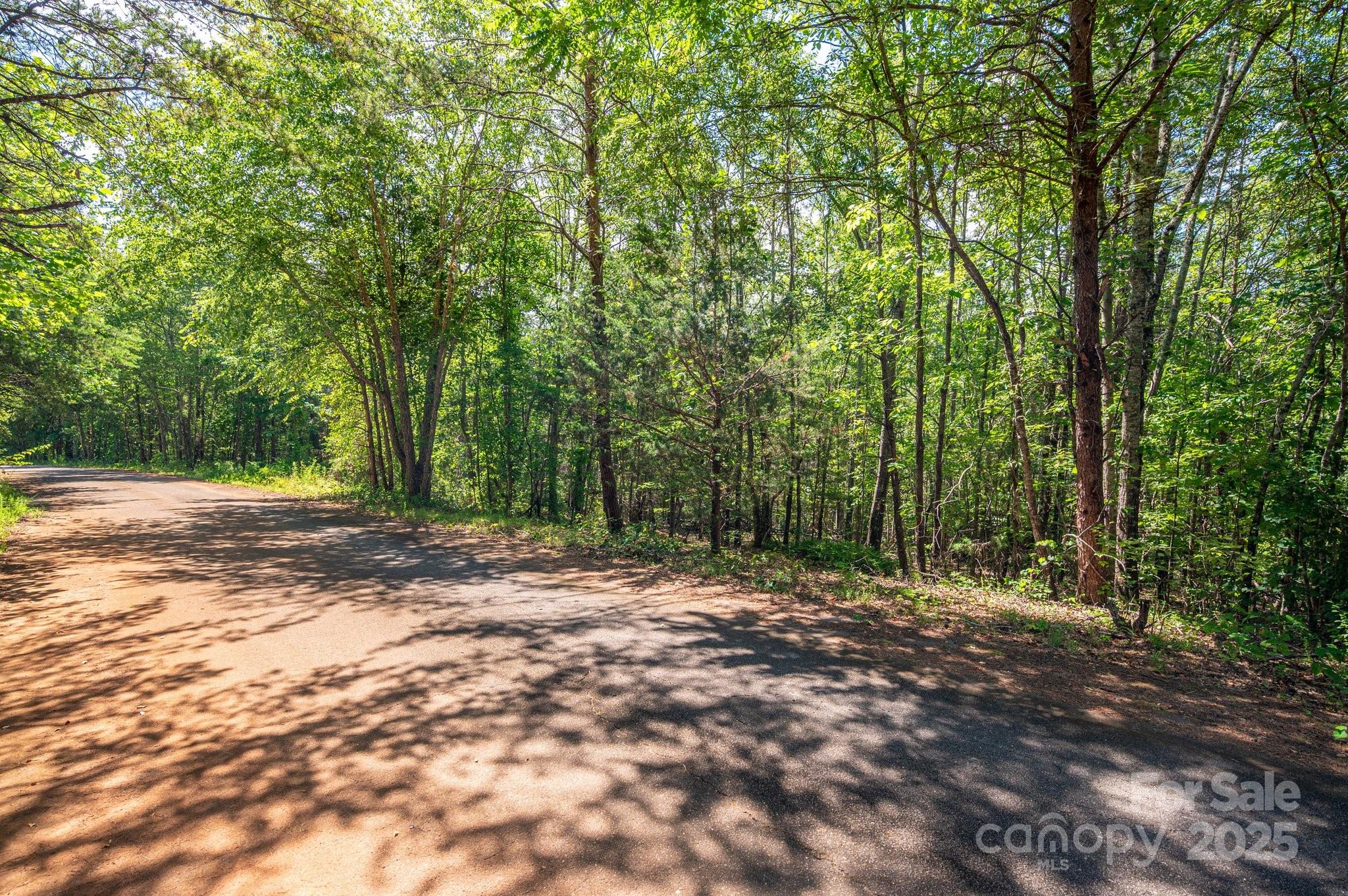 Lot #14 Meadow Crossing Drive Rutherfordton, NC 28139 - Photo 2 of 15 a view of outdoor space with trees