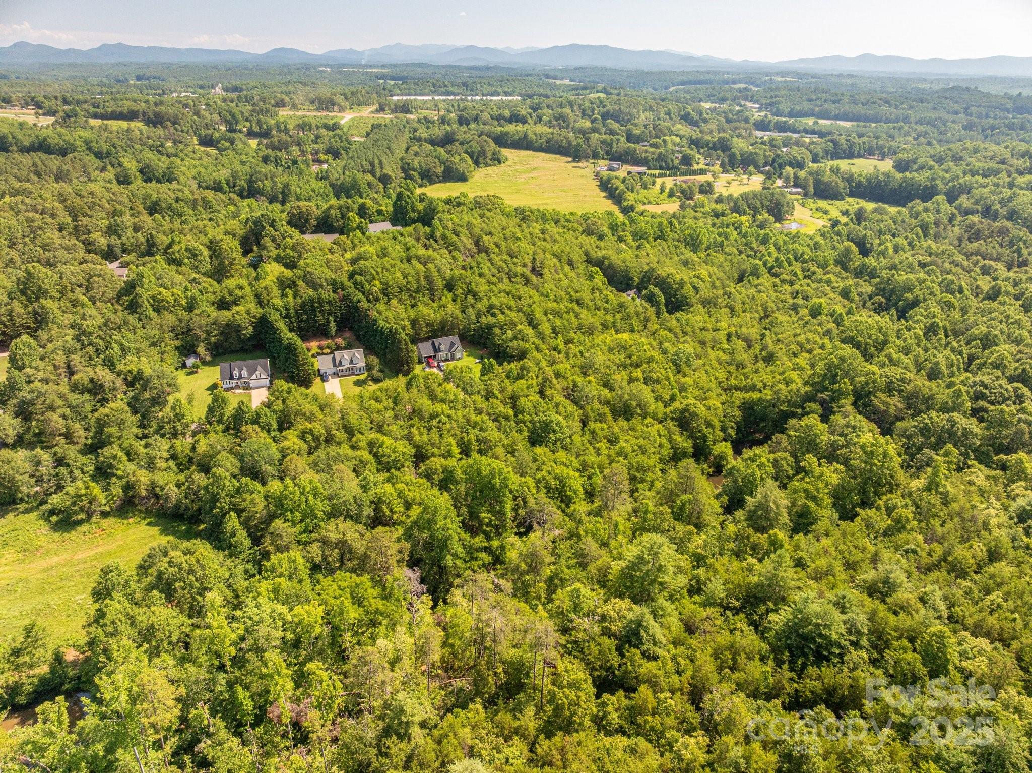 Lot #14 Meadow Crossing Drive Rutherfordton, NC 28139 - Photo 7 of 15 a view of a city with lush green forest