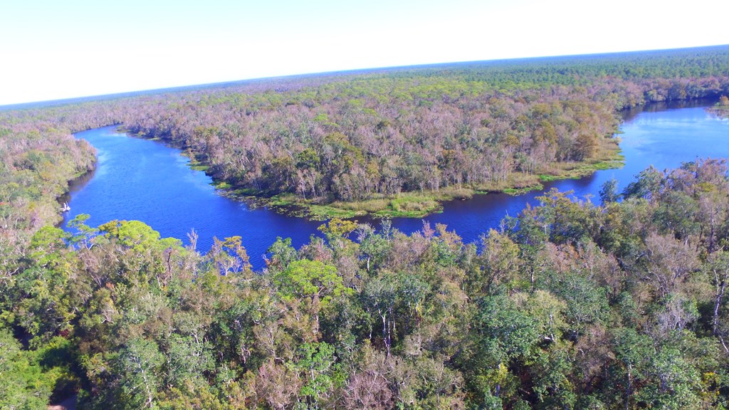 925 Hickory Hammock Road Carrabelle, FL 32322 - Photo 18 of 25 Gallery Image 18