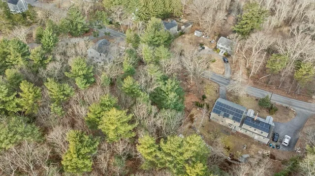 a view of a yard with large trees