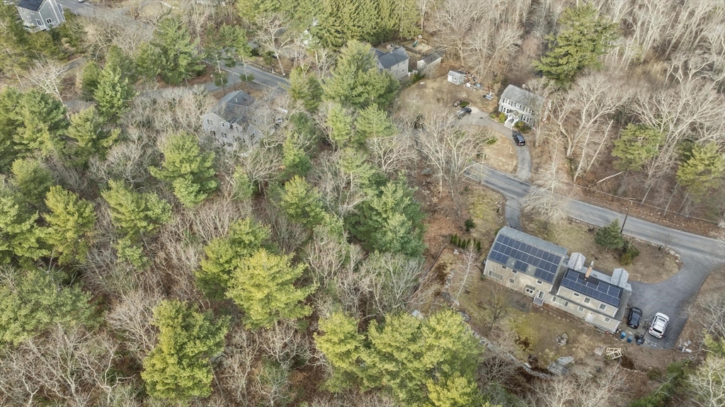 50 Indian Lane Canton, MA 02021 - Photo 8 of 11 a view of a yard with plants
