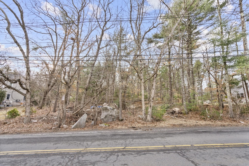 50 Indian Lane Canton, MA 02021 - Photo 10 of 11 a view of a yard with large trees