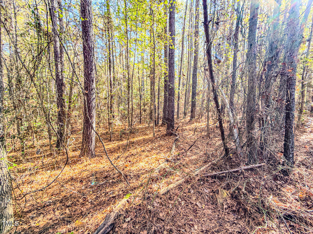 265 Aiken Road Vass, NC 28394 - Photo 11 of 39 7.01 - Beane - Moore Co.11